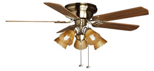 Quạt trần Mountain Air có tốt không ?