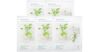 Review 4 dòng mặt nạ Innisfree trà xanh tốt nhất hiện nay