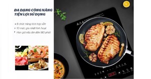 Review bếp điện từ cảm ứng Sunhouse SHD6808