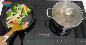 Review bếp từ âm 2 vùng nấu Sunhouse SHB-9100V