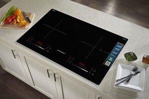 Review chi tiết bếp từ đôi Sunhouse SHB82082-VMD