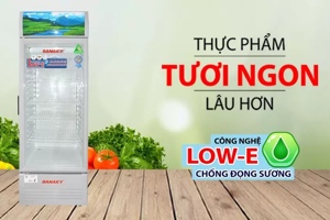 Review chi tiết tủ mát Sanaky 1 cánh 300 lít VH-308KL
