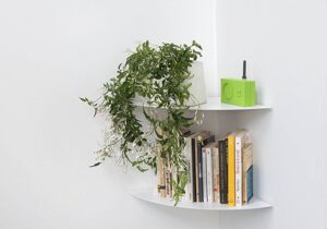 Review kệ góc treo tường SMLIFE có tốt không, giá bao nhiêu, mua ở đâu?