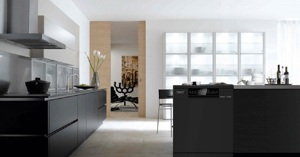 Review tất tần tật về máy rửa bát độc lập Fermi 14 bộ FW001 bạn nên biết