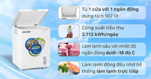 Review tủ đông Hòa Phát 1 ngăn 107 lít Hcf 106đsh từ A đến Z