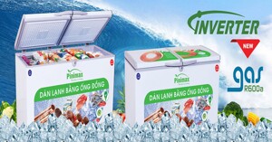 Review tủ đông Pinimax PNM-89AF3 chi tiết