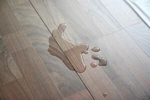 Sàn gỗ công nghiệp nào chịu nước tốt nhất