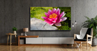 Smart Tivi LG 75 inch 4K 75UQ8000PSC: Chất lượng so giá thành!