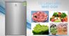 So sánh các loại tủ lạnh mini Casper, Aqua, Beko và Electrolux dưới 100 lít nên mua loại nào?