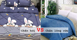 So sánh chăn hơi và chăn lông cừu chi tiết và tư vấn chọn mua