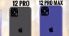 So sánh iPhone 12 Pro và iPhone 12 Pro Max: Có gì khác nhau?