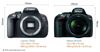So sánh máy ảnh Canon EOS 700D và Nikon D5300