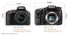 So sánh máy ảnh Sony A77 II và Nikon D5500