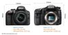 So sánh máy ảnh Sony A77 II và Nikon D3300