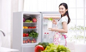 So sánh tủ lạnh Panasonic NR-BK305MS và Samsung RT22FARBDSA/SV