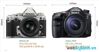 So sánh ưu – nhược điểm của máy ảnh DSLR Nikon Df và Sony A99