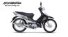 So sánh xe máy Suzuki Revo và Honda Wave Alpha
