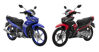 So sánh xe máy Yamaha Jupiter phiên bản GP và RC: sự khác nhau là gì?