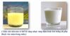 Sữa non Alpha Lipid có gì đặc biệt hơn so với các dòng sữa khác?