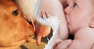 Sữa non là gì và sữa non có tác dụng gì cho con người đặc biệt là trẻ sơ sinh?