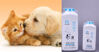 Sữa tắm cho chó mèo tốt nhất được chuyên gia khuyên dùng