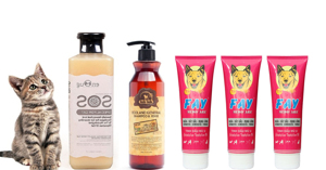 Sữa tắm cho mèo loại nào tốt nhất hiện nay?