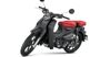 Super Cub C125 2022 giá bao nhiêu tiền? Có mấy màu sắc lựa chọn?