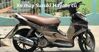 Suzuki Hayate cũ giá bao nhiêu tiền? Có nên mua trong năm 2022?