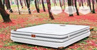 Tại sao nên mua đệm lò xo Hanvico?