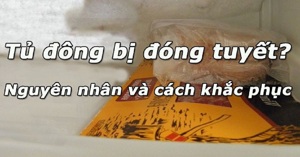 Tại sao tủ đông bị đóng tuyết? Cách khắc phục?
