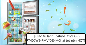 Tại sao tủ lạnh Toshiba 312L GR-RT400WE-PMV(06)-MG lại trở nên HOT?