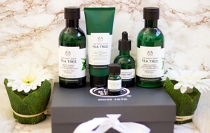 Tea Tree Oil trị mụn có tốt không? Hiệu quả trị mụn từ A đến Z