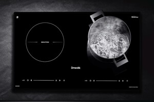 Tham khảo 5 mẫu bếp từ D’mestik có giá dưới 10 triệu đồng