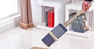 Thị trường hiện nay phổ biến những loại cây lau nhà nào?