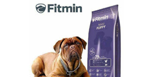 Thức ăn cho chó Fitmin có tốt không?