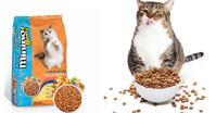 Thức ăn cho mèo Minino Yum có ưu điểm gì nổi bật?