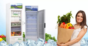 Tìm hiểu về dòng tủ mát Pinimax PNM-309KL 300 lít