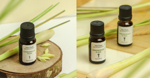 Tinh dầu sả đuổi muỗi là gì? Công dụng như thế nào?