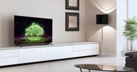 Tivi LG OLED 48 inch 4K 48A1PTA giá còn 15,9 triệu đồng có nên mua không?