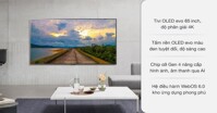 Tivi LG OLED 65 inch 4k 65G1PTA giảm 40 triệu có còn đáng mua hiện nay?
