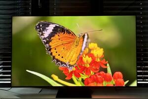 Tivi MiniLED LG 65QNED92ASA có thể cạnh tranh với Samsung và Sony ở phân khúc tầm trung hay không?