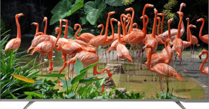 Tivi Panasonic 65 inch giá bao nhiêu tiền? TOP 03 lựa chọn tốt nhất năm 2023