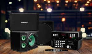 Top 10 dàn Karaoke gia đình hay nhất 2020 âm thanh chất giá vừa tầm