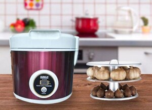 Top 14 máy làm tỏi đen loại tốt, bền, đa năng giá từ 1tr