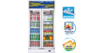 TOP 3 chiếc tủ mát Sanaky 400 lít được quan tâm nhiều nhất