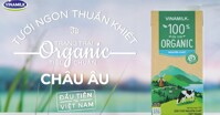 Top 3 loại sữa tươi cho bé 2 tuổi chất lượng tốt mẹ nên biết