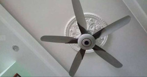 Top 3 mẫu quạt trần Điện Cơ Thống Nhất đáng để bạn cân nhắc
