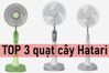 Top 3 quạt cây Hatari thích hợp sắm sửa cho mọi gia đình, văn phòng làm việc