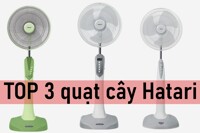 Top 3 quạt cây Hatari thích hợp sắm sửa cho mọi gia đình, văn phòng làm việc