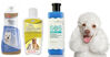 TOP 3 sữa tắm cho chó poodle trắng tốt nhất